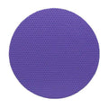 CHEMICAL GUYS CLAY ERASER DISC PURPLE (MEDIUM) 6 INCH (152MM) - VDGAMA Detail Hub